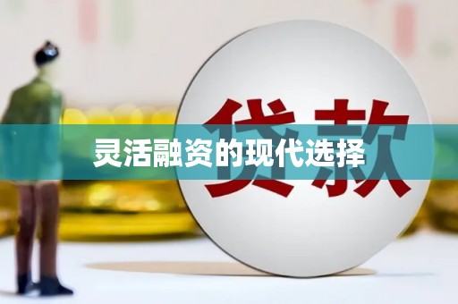 汉南灵活融资的现代选择