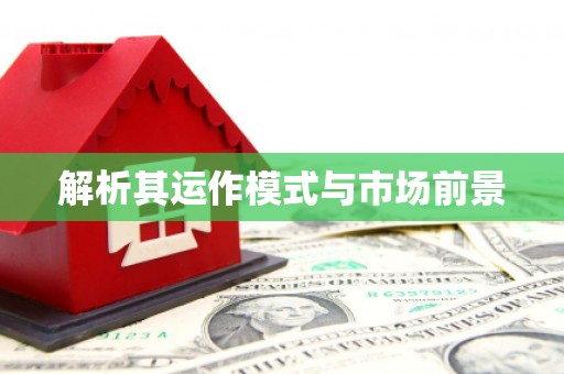 汉南解析其运作模式与市场前景
