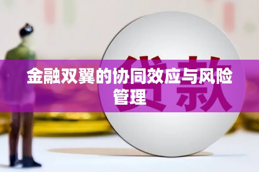 汉南金融双翼的协同效应与风险管理