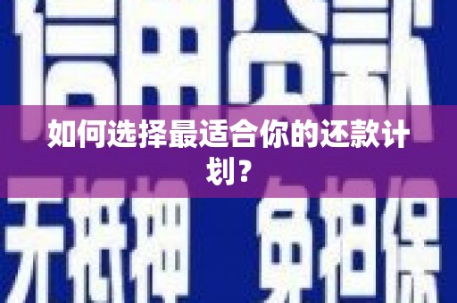 汉南如何选择最适合你的还款计划？