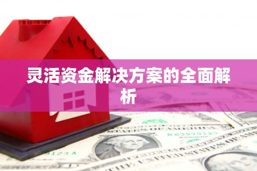 汉南灵活资金解决方案的全面解析